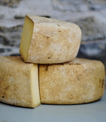 Bio-Lieferanten und Erzeuger